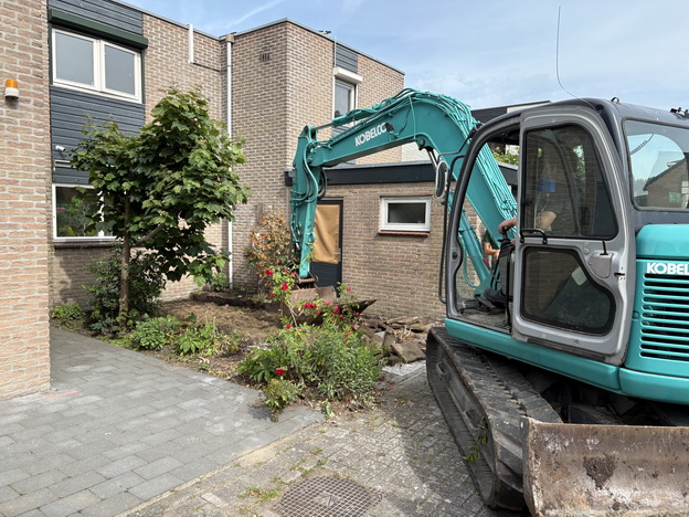 Tuin